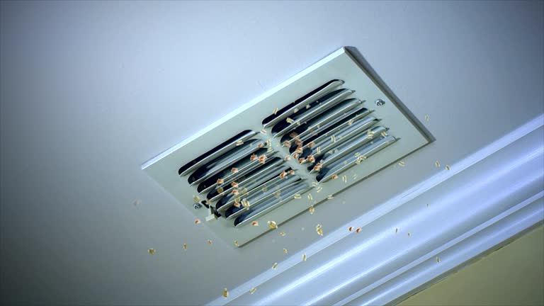 Best HVAC System Cleaning  in Loomis, CA